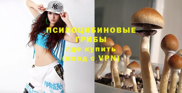 дмт Зерноград