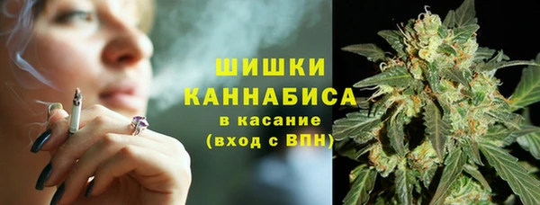 шишки Зеленодольск