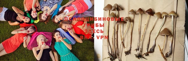 дмт Зерноград