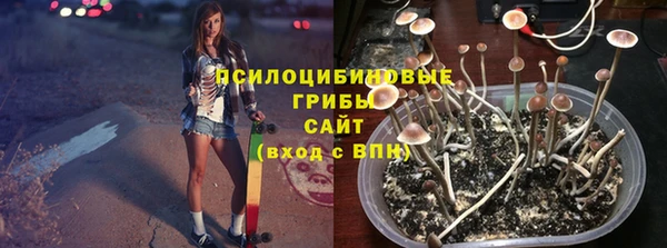 шишки Зеленодольск