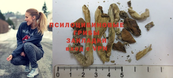 шишки Зеленодольск